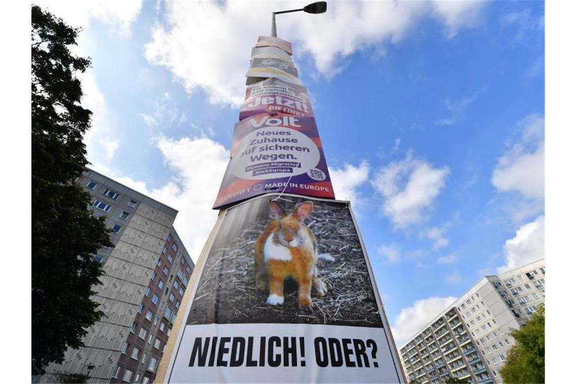 Wahlplakate hängen an einer Laterne am Juri-Gagarin-Ring in Erfurt. Foto: Martin Schutt/dpa-Zentralbild/dpa