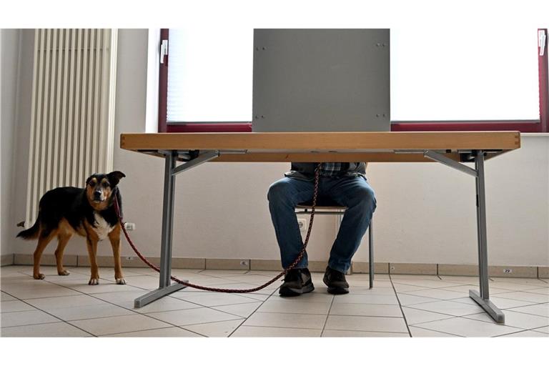 Wahltag in Rheinland-Pfalz: Stellt erstmals seit 35 Jahren eine andere Partei als die SPD den Regierungschef?