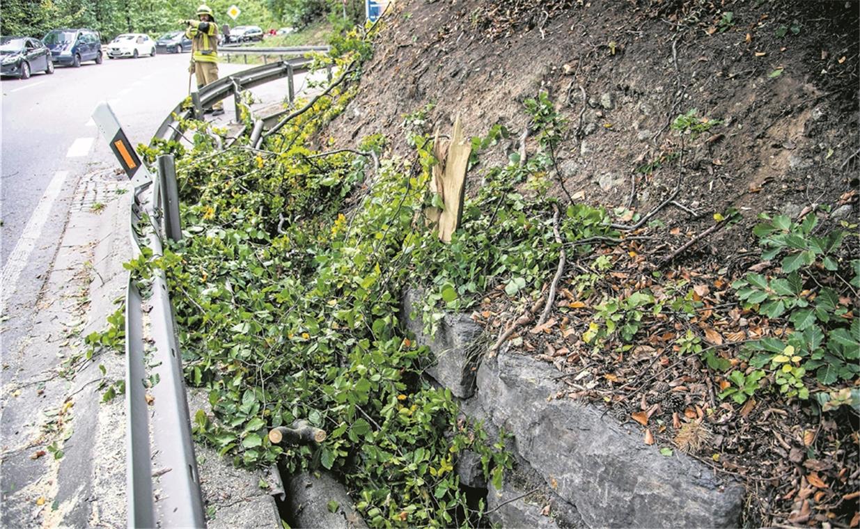 Schwerer Sturm mit Gewittern fegt übers Land