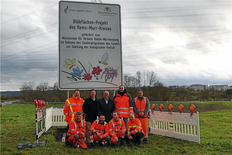 Waiblingens Baubürgermeister Dieter Schienmann (Mitte), Stefan Hein, Dezernent im Landratsamt für Bauen, Umwelt und Infrastruktur (2. von links), mit Mitarbeitern des Straßenbauamts auf der Blühfläche in Waiblingen-Nord. Foto: Landratsamt Rems-Murr