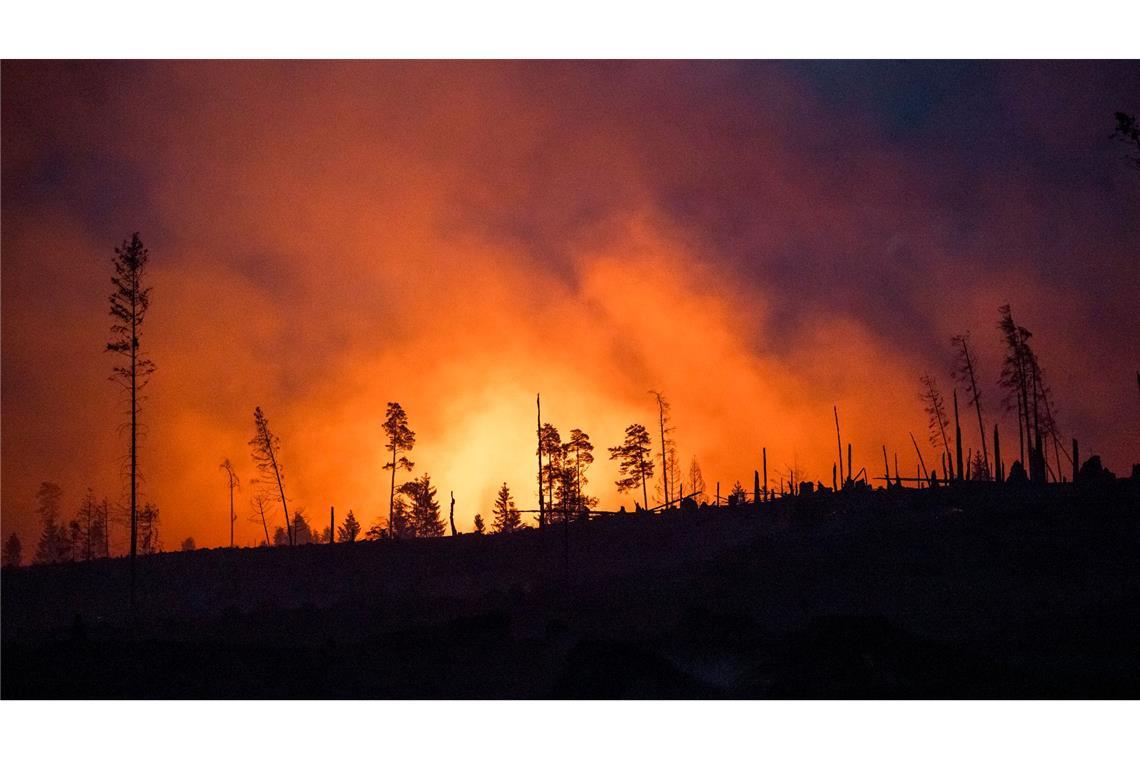 Erde am Limit – Klimakrise kostet Millionen von Leben Waldbrände fachen mit ihren Emissionen die Erderwärmung zusätzlich an. (Illustraiton)