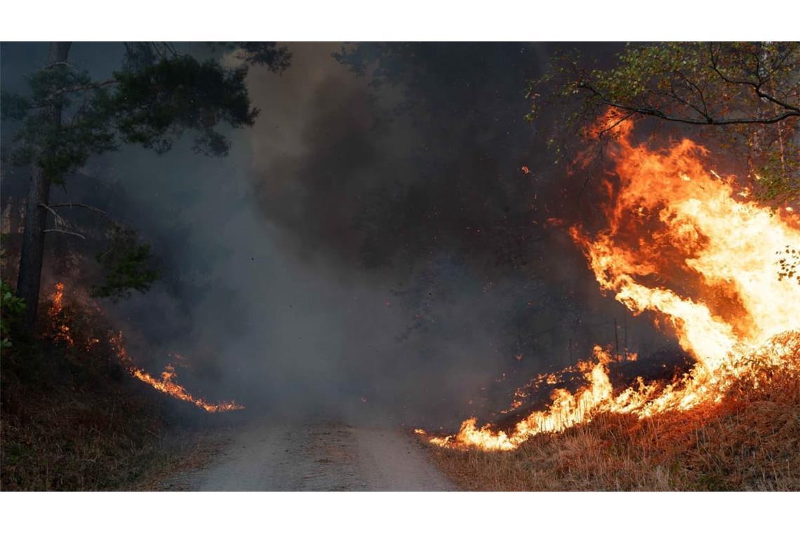 Waldbrände sind eine von vielen Folgen der Erderwärmung.