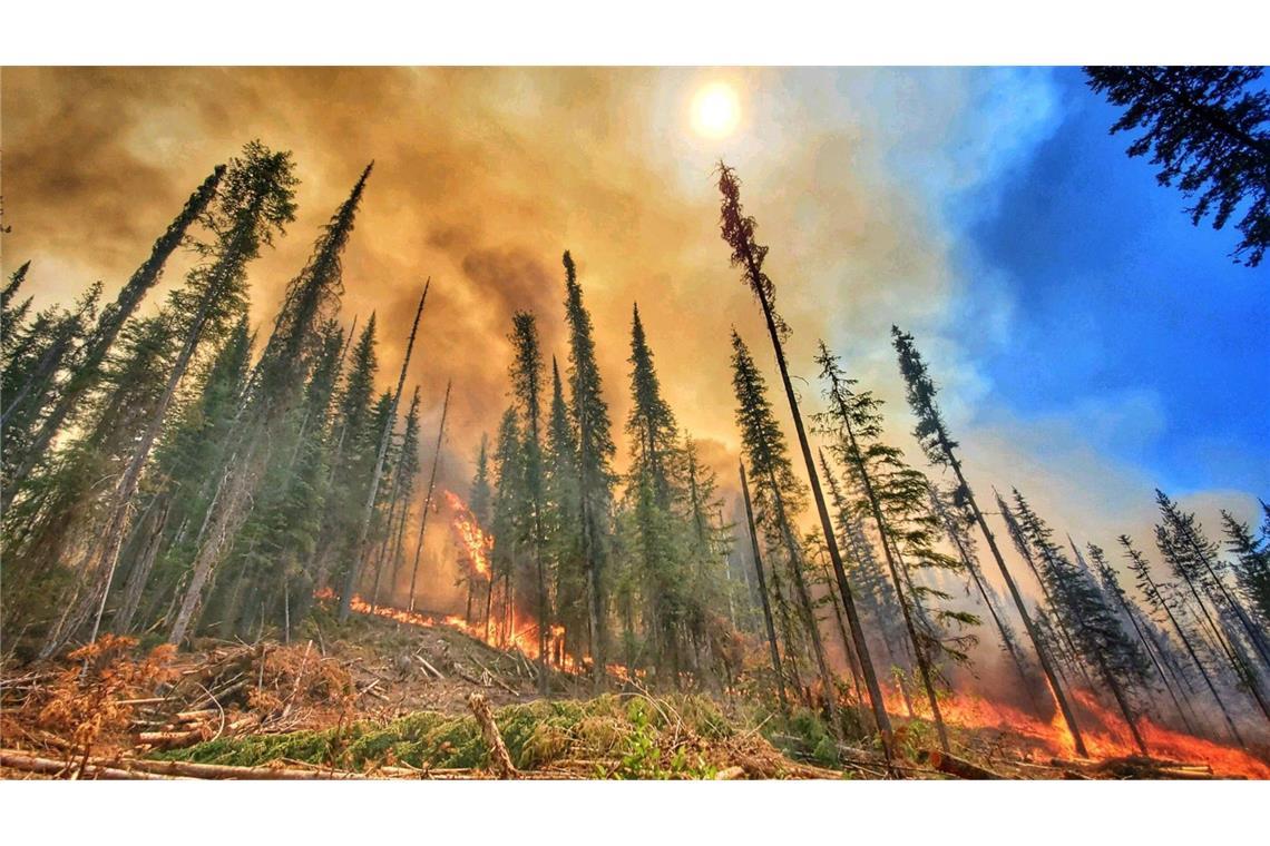 Waldbrände wie hier im US-Bundesstaat Washington im Jahr 2022 sind nur eine von vielen Ursachen, die zu den Rekordemissionen an Treibhausgasen in die Atmosphäre beitragen.