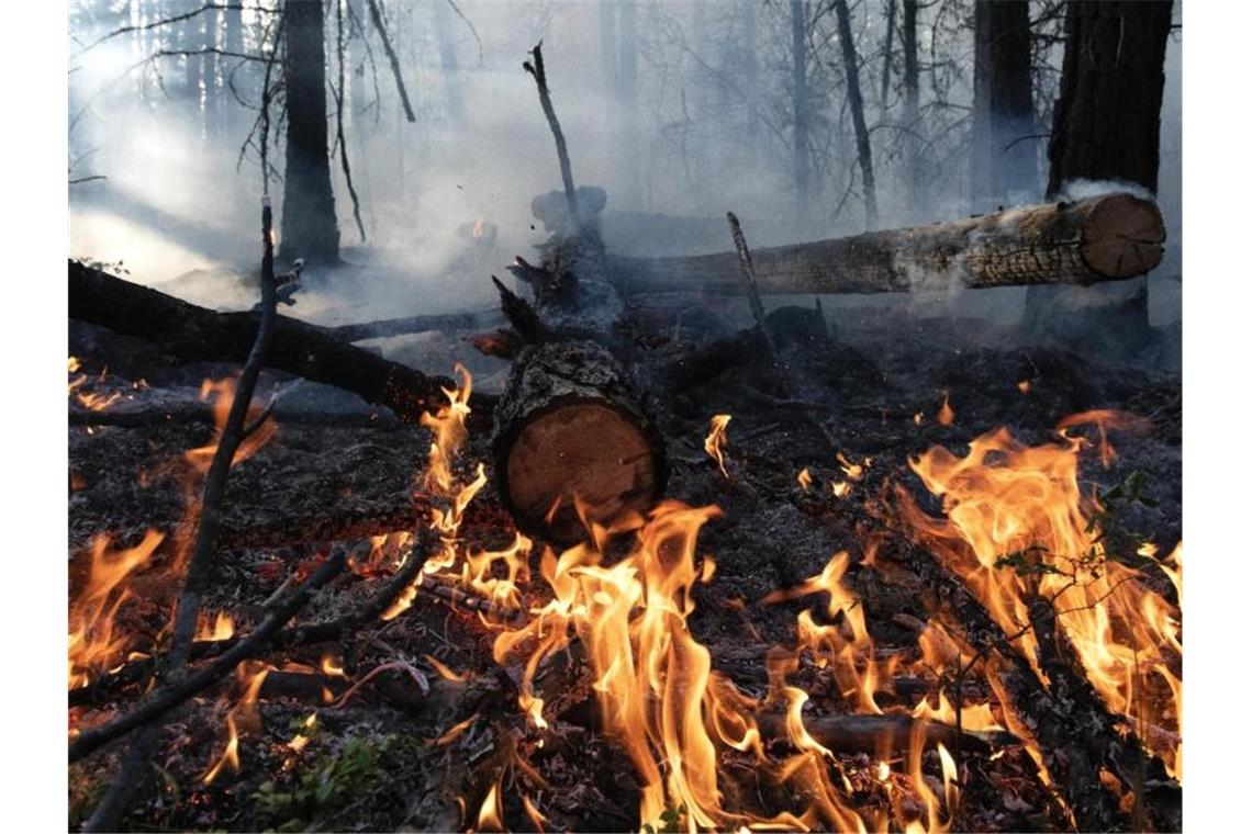 Noch immer wüten Waldbrände in Russland Waldbrand im August im Gebiet Gorny Ulus (Jakutien). Foto: Valeriy Melnikov/Sputnik/dpa