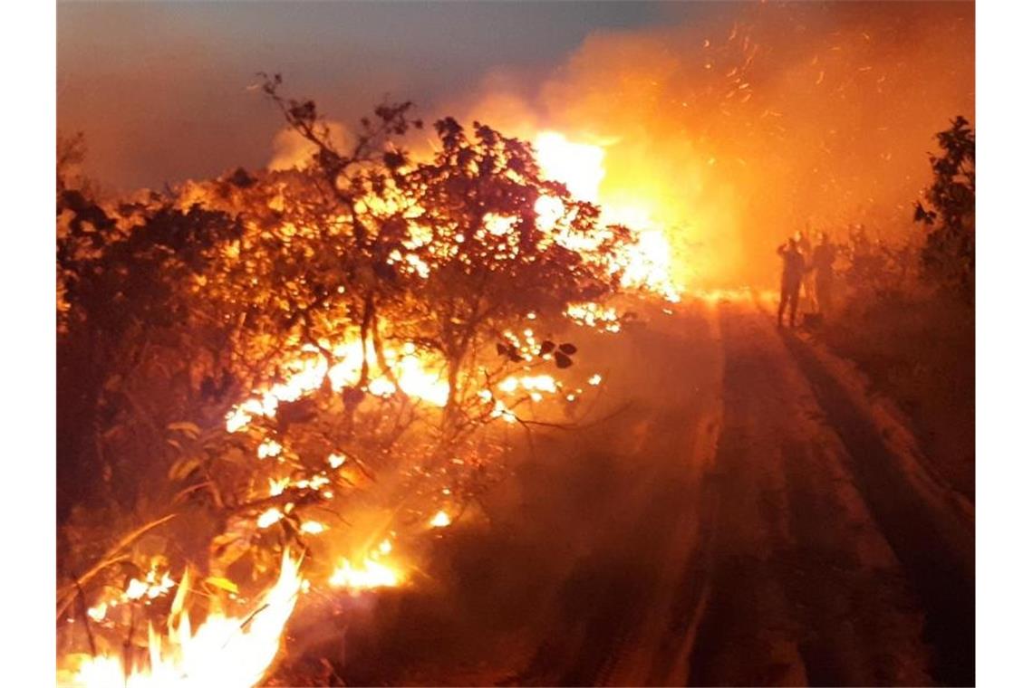 Waldbrand im Naturpark Chapada dos Guimaraes in Brasilien. Seit Wochen wüten Tausende Feuer im Amazonasgebiet und den angrenzenden Steppengebieten. Foto: Christian Niel Berlinck/ICMBio