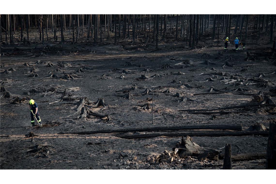 Bilder des Tages Waldbrand in Thüringen: Feuerwehr löscht Glutnester auf Saalfelder Höhe