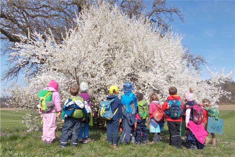 Waldkindergärten sind beliebt. In Oppenweiler soll es bald noch eine zweite Waldgruppe geben. Doch diese allein wird nicht ausreichen, um den Mangel an Kitaplätzen zu decken, den es ab April geben wird. Die Kommune wird sich wohl zeitgleich auch um eine weitere Regelgruppe in der Murrtalschule bemühen müssen. Foto: privat