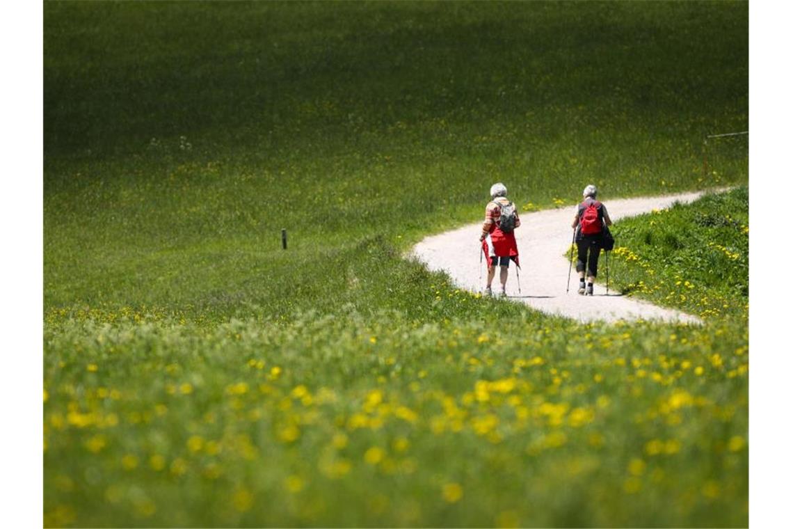 Wanderer auf einem Weg zwischen Seefeld und Mösern in Österreich. Foto: Christian Charisius/dpa