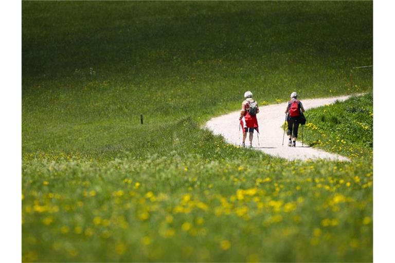 Wanderer auf einem Weg zwischen Seefeld und Mösern in Österreich. Foto: Christian Charisius/dpa