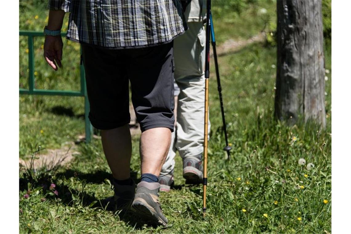 Wanderer gehen bei Schönau am Belchen im Schwarzwald auf einem Wanderweg. Foto: Patrick Seeger/Archivbild