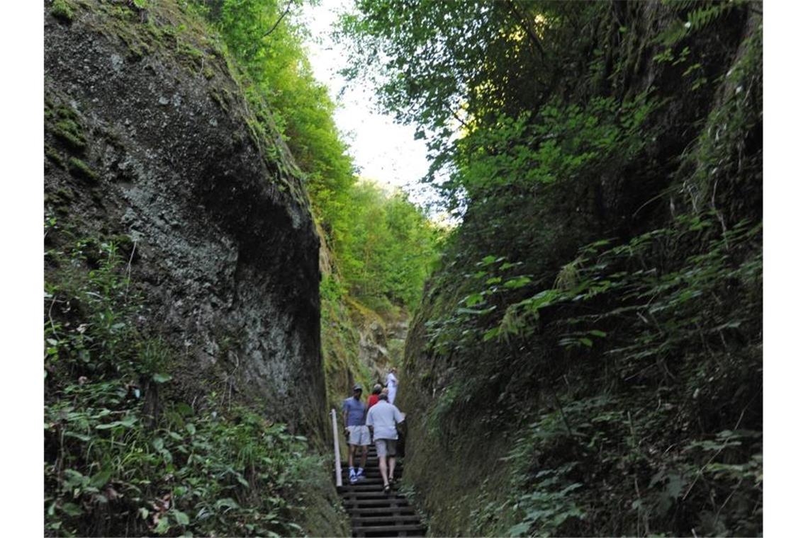 Marienschlucht am Bodensee soll sicher für Wanderer werden Wanderer gehen durch die Marienschlucht. Foto: picture alliance / dpa / Archivbild