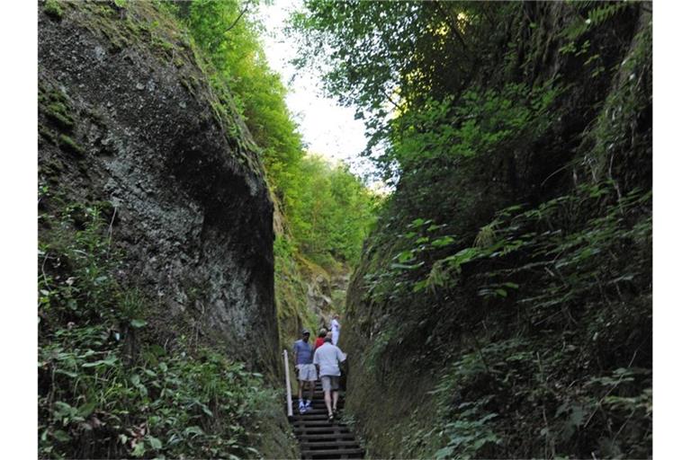 Wanderer gehen durch die Marienschlucht. Foto: picture alliance / dpa / Archivbild