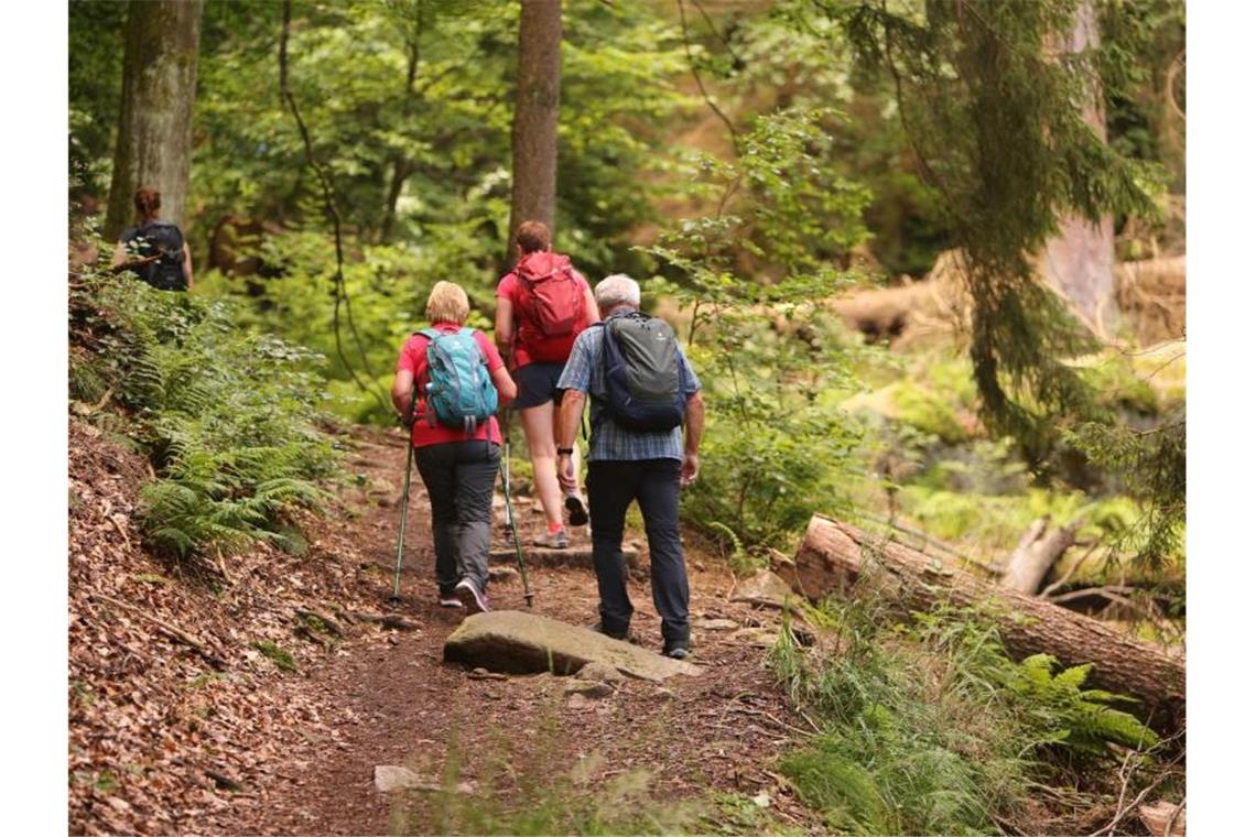 Deutscher Wandertag: Remstal rechnet mit 30.000 Besuchern Wanderer sind unterwegs. Foto: Matthias Bein/dpa-Zentralbild/ZB/Symbolbild