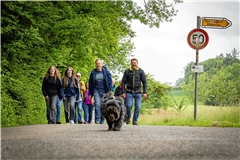 Wandern gehört am Vatertag für viele dazu. Foto: Alexander Becher