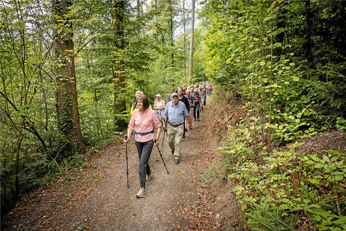 Wandern mit Aussicht: Beim BKZ-Wandertag geht es durch Wald und Tal. Fotos: Alexander Becher