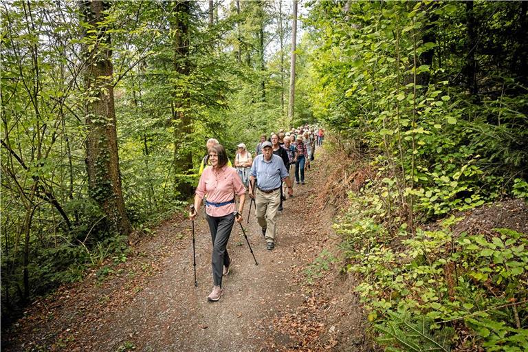 Wandern mit Aussicht: Beim BKZ-Wandertag geht es durch Wald und Tal. Fotos: Alexander Becher