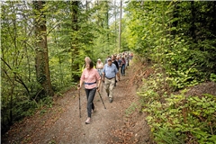 Wandern mit Aussicht: Beim BKZ-Wandertag geht es durch Wald und Tal. Fotos: Alexander Becher
