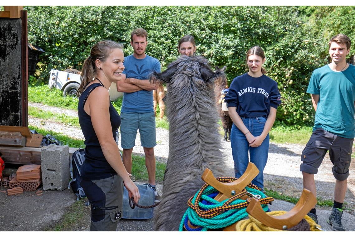 Wandern mit Lamas und Alpakas im Schwäbischen Wald. Janina Schrader erklärt, wie...