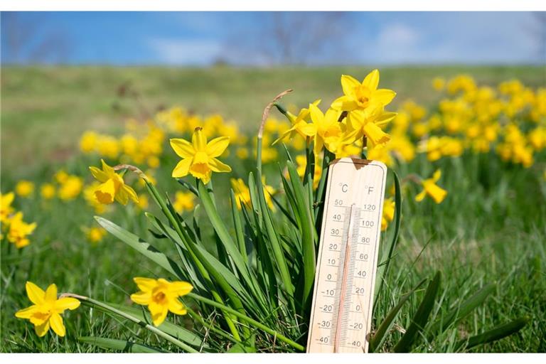 Wann kommt der Frühling zurück?