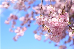 Wann wird es wieder wärmer? Ein Überblick über die Wetterentwicklung in Deutschland: Von frostigen Nächten und steigenden Temperaturen im April.