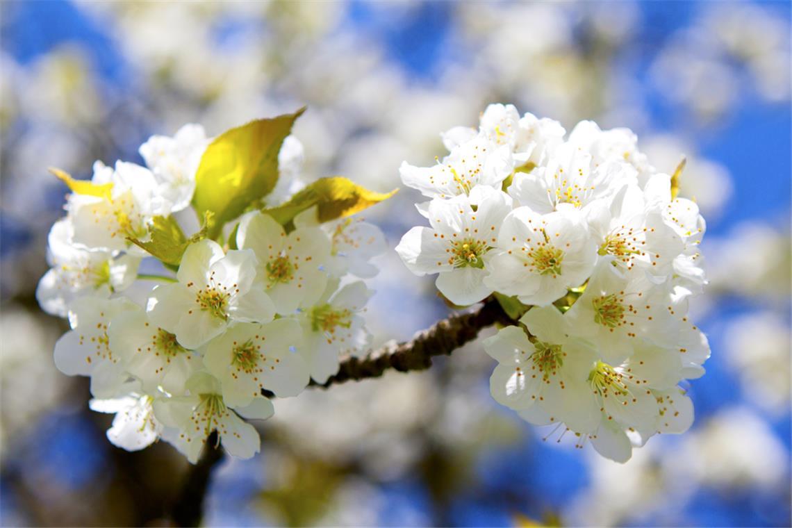 Wann wird es wieder wärmer? Ein Überblick über die aktuelle Wetterlage in Deutschland und die Aussichten für die kommenden Tage.