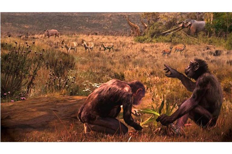 War er der letzte gemeinsame Vorfahre? Graecopithecus freybergi – Spitzname El Graeco – hat vor 7,2 Millionen Jahren in einer staubbelasteten Savannen-Landschaft rund um das heutige Athen gelebt. Der Künstler Velizar Simeonovski hat dieses Gemälde nach wissenschaftlichen Vorgaben von Madelaine Böhme und Nikolai Spassov erstellt.