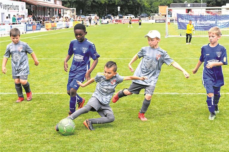 Waren in den entscheidenden Momenten schneller am Ball als die Konkurrenten: Die F-Junioren des Jahrgangs 2011 des FV Sulzbach räumten den Siegerpokal ab.Foto: T. Sellmaier