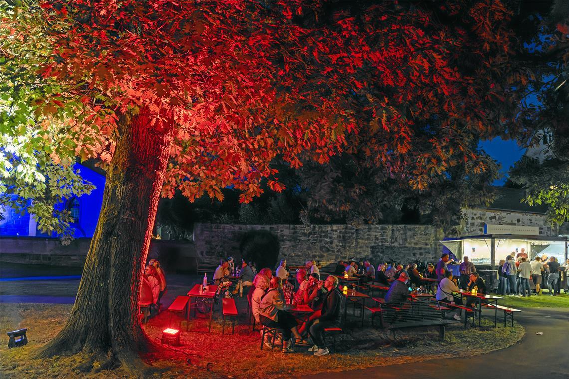 Warme Sommernacht unter Bäumen.