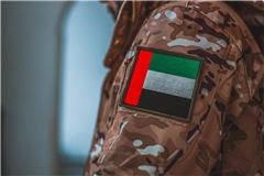 Warum reagieren die Arabischen Emirate nicht offensiv auf die Angriffe des Iran? Das Dilemma der Emirate erklärt.