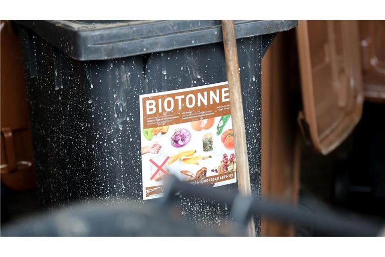 Was darf rein, was nicht? Auf keinen Fall Plastik, Glas, Alufolie und Konservendosen.
