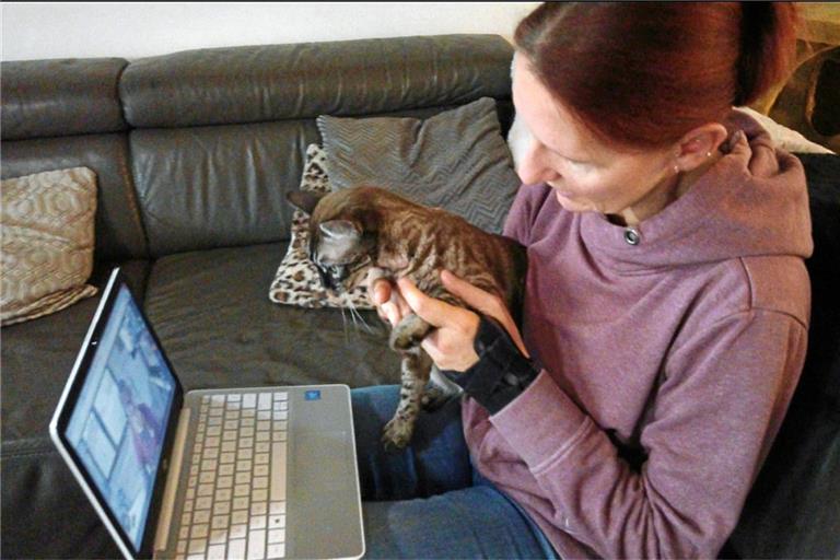 Was fehlt der Katze? Durch die Videofunktion kann sich der Tierarzt ein Bild von dem Zustand des Tieres machen. Foto: privat