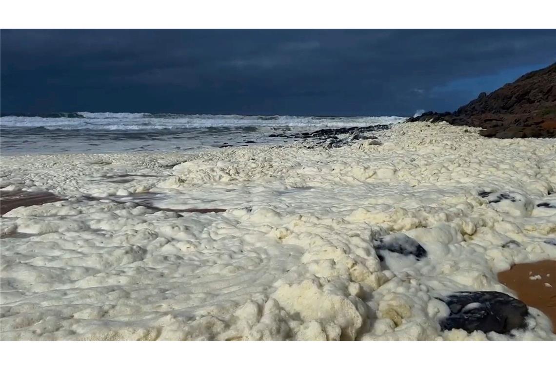 Gelber Schaum und kranke Surfer: Algenblüte in Australien? Was hat es mit dem meterdicken gelben Schaum auf sich? Verschiedene Behörden ermitteln.