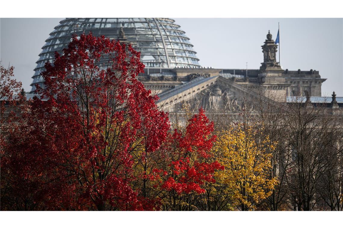 Was geht noch bei Gesetzen vor der Neuwahl? Was kann vor der Neuwahl im Bundestag noch für die Bürgerinnen und Bürgerinnen beschlossen werden?