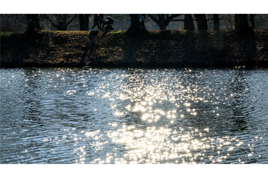 Wasser ist lebenswichtig für Menschen, Tiere und Kleinstorganismen. (Archivbild)