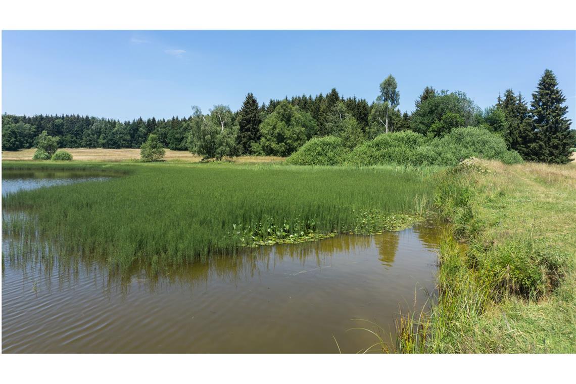 6 x 60 Kilometer Laufen – mit einem guten Essen kein Problem Wasser ist selten auf der Alb – die Weiherwiesen bei Essingen erscheinen deshalb wie eine Fata Morgana.