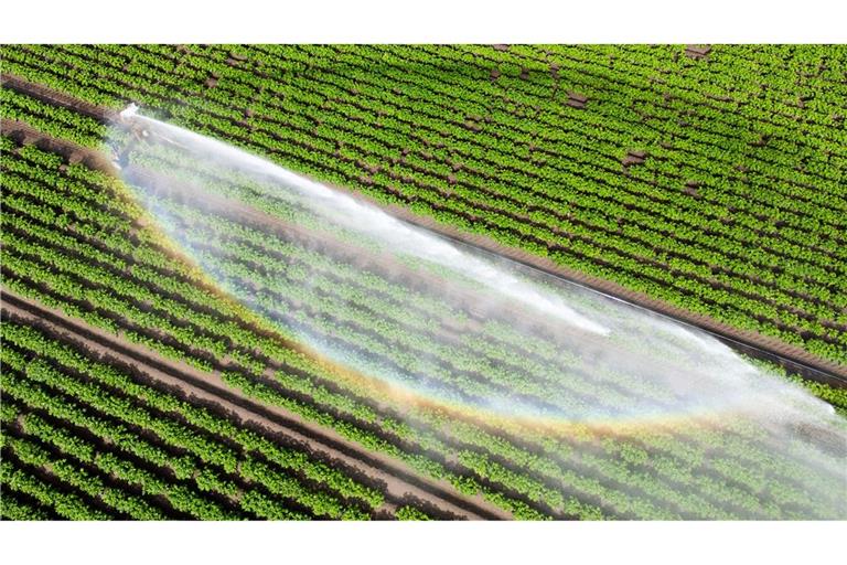 Wasser kann Luxus sein - wenn es knapp ist und für die Landwirtschaft gebraucht wird. (Illustration)