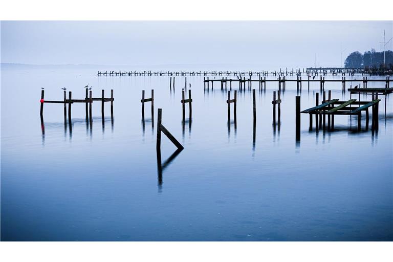 Wasserlandschaft: Pfähle einer abgebauten Steganlage ragen aus dem Steinhuder Meer.