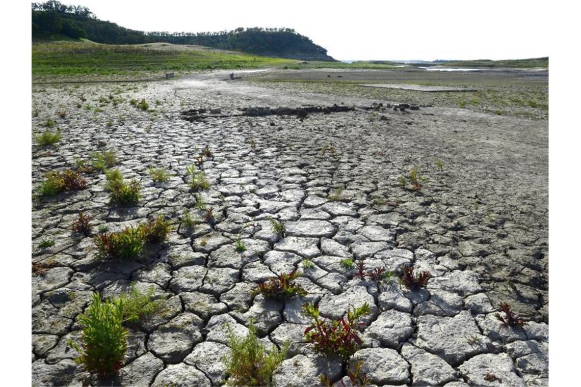 Wassermangel in Kalifornien: Der US-Bundesstaat leidet unter den Folgen des Klimawandels. Foto: Michael Nelson/epa/dpa
