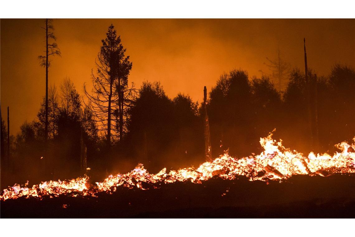 Wegen der Erderwärmung gibt es in vielen Regionen häufiger und öfter extremes Wetter.