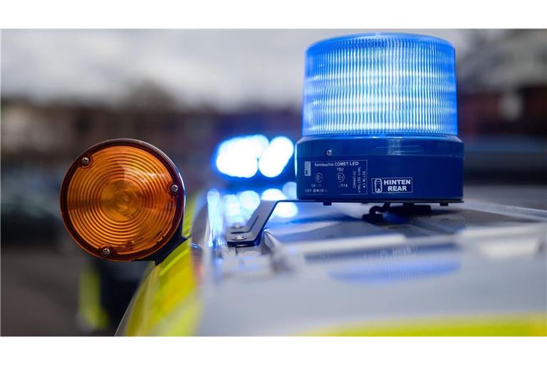 Wegen des ausgebüxten Kängurus war auch die Polizei im Einsatz. (Symbolbild)