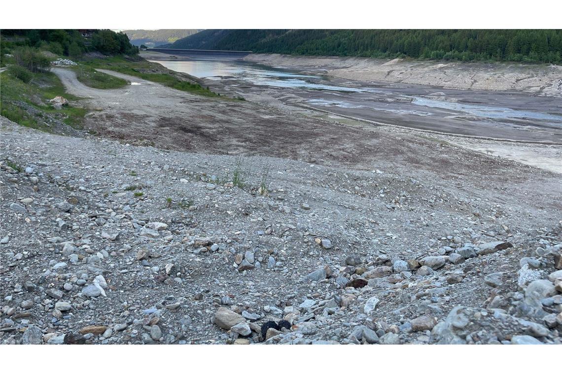Leck von südtiroler Stausee macht Fischumsiedlung nötig Wegen des massiven Wasserverlusts gibt es Sorgen um den Fischbestand.