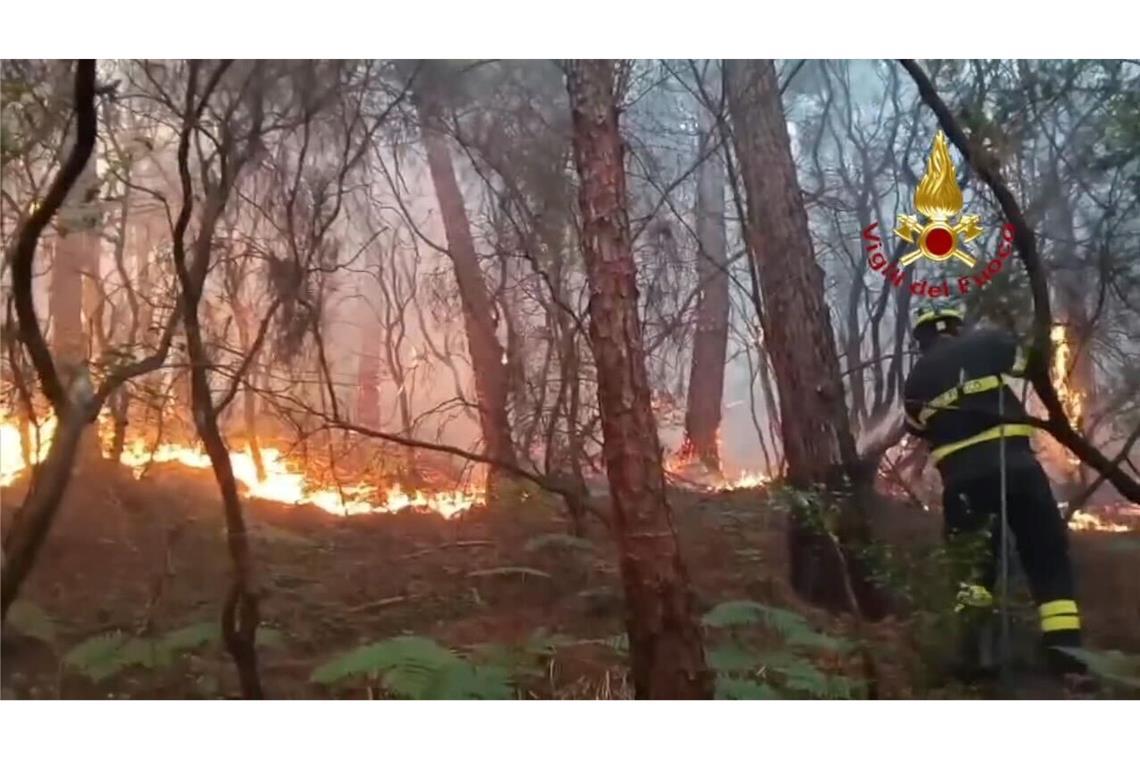 Wegen des Waldbrands mussten mehr als 3.500 Menschen ihre Häuser verlassen.