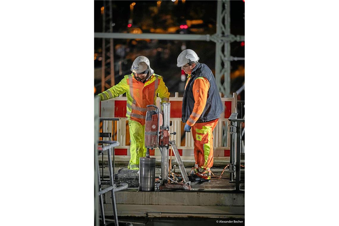 Wegen eines Wildunfalls auf den Bahngleisen musste ein Zug aber verspätet im Bah...