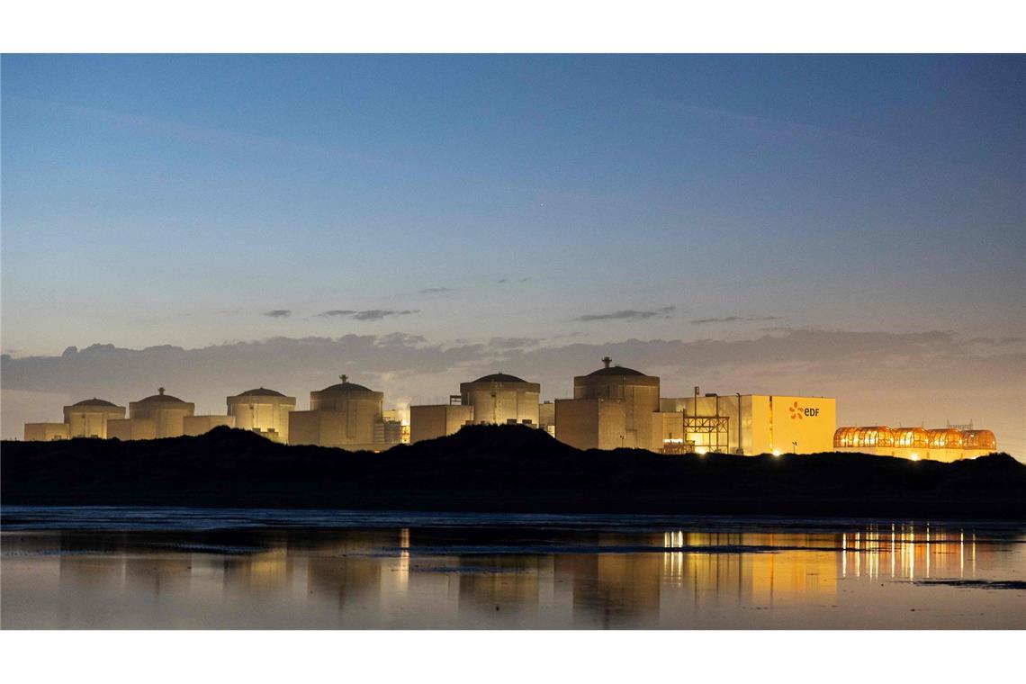 Quallen legen größtes französisches Atomkraftwerk lahm Wegen Quallen steht der Betrieb eines französischen AKW vorerst still. (Archivbild)