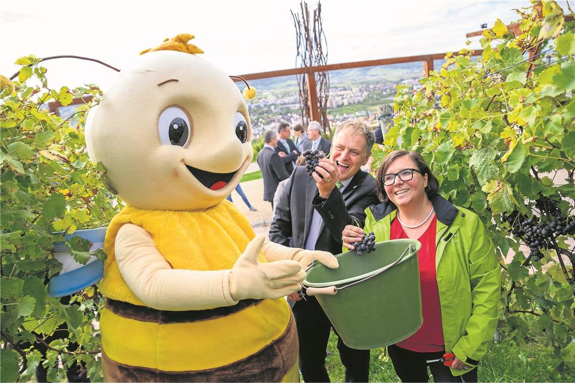 Zwei Millionen Besucher bevölkern Gartenschau Weinlese mit Gartenschau-Maskottchen Remsi: Zu der Großveranstaltung gab es zahlreiche unterschiedliche Aktionen. Foto: Bebop Media