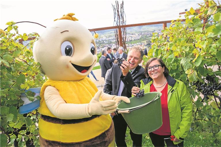 Weinlese mit Gartenschau-Maskottchen Remsi: Zu der Großveranstaltung gab es zahlreiche unterschiedliche Aktionen. Foto: Bebop Media
