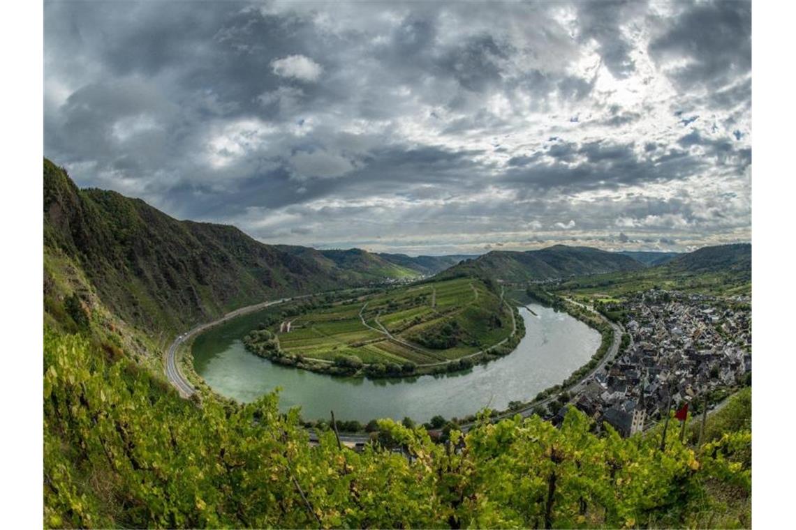 Knochenarbeit mit Herz im steilen Weinberg