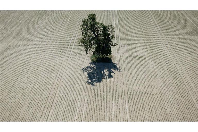 Weite Teile Europas leiden seit Jahren unter zunehmender Wasserknappheit. (Archivbild)