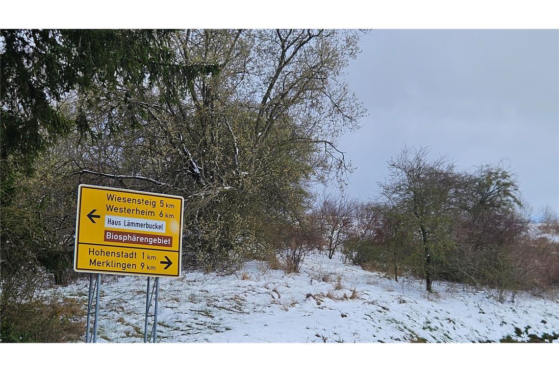 Weitere Bilder.