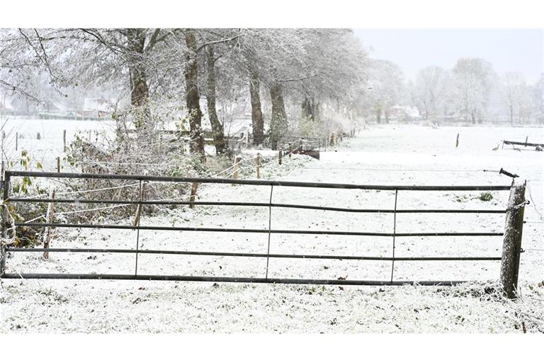 Weiteren Schnee sagt der Deutsche Wetterdienst frühestens am Sonntag vorher.